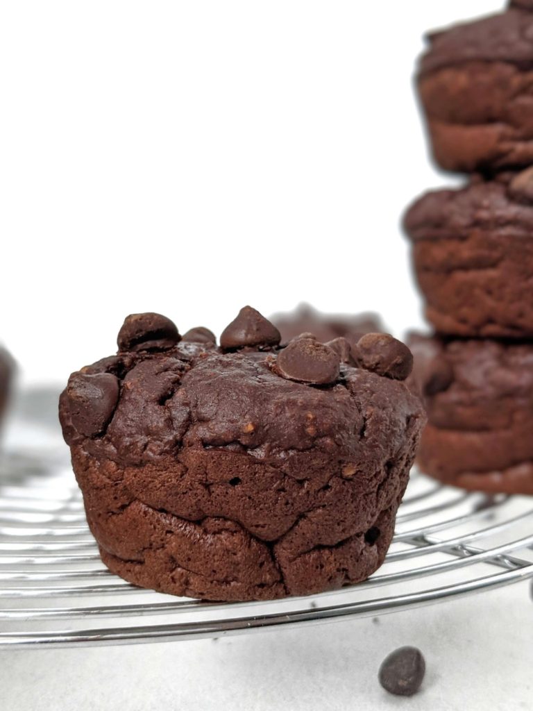 Healthy Chocolate Banana Protein Muffins made with oatmeal and quest chocolate protein powder. These easy flourless chocolate protein muffins are made in a blender and are gluten free and sugar free too!