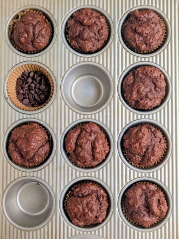 Not-your-average Chocolate Sourdough PROTEIN Muffin that’s perfectly balanced, high protein, low calorie, low fat and sugar free! It certainly proves that healthy can be delicious!