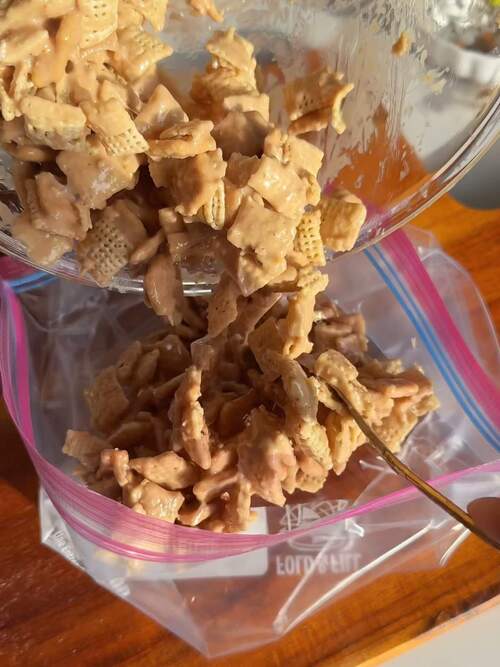 transfer into ziploc